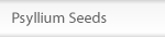 Psyllium Seeds